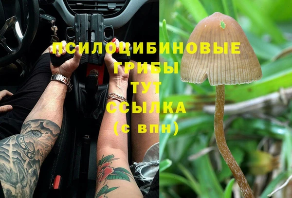 мдпв Алзамай