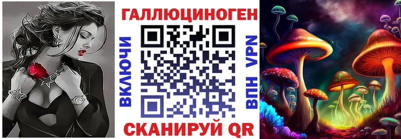 Псилоцибиновые грибы Psilocybe  Светлоград 